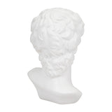 Clair White Resin Greek God Head - 19092EC