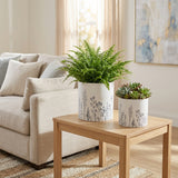 Darrenoak White/Black Planters (Set of 2) - 21860EC