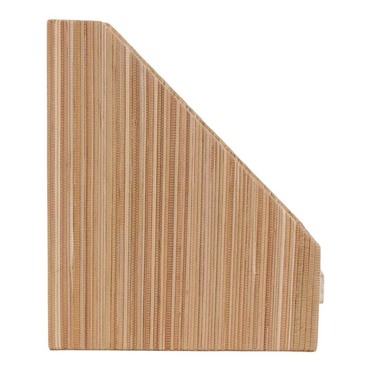 Woodsonbeach Tan/Ivory File Organizer