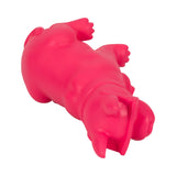 Hollisshaw Pink Decor