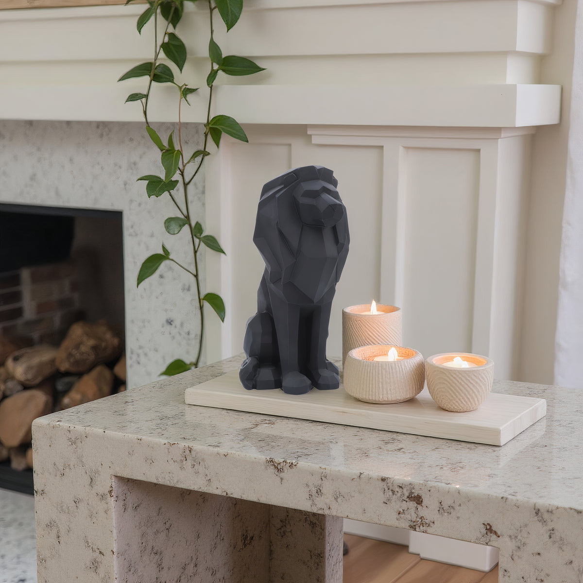 Kendallrun Black Decor