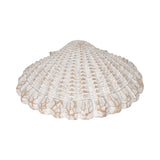 Essexrun White Sea Scallop Shell Woven Pattern