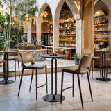 Ace Brown & Walnut Counter Stool (Set of 2)