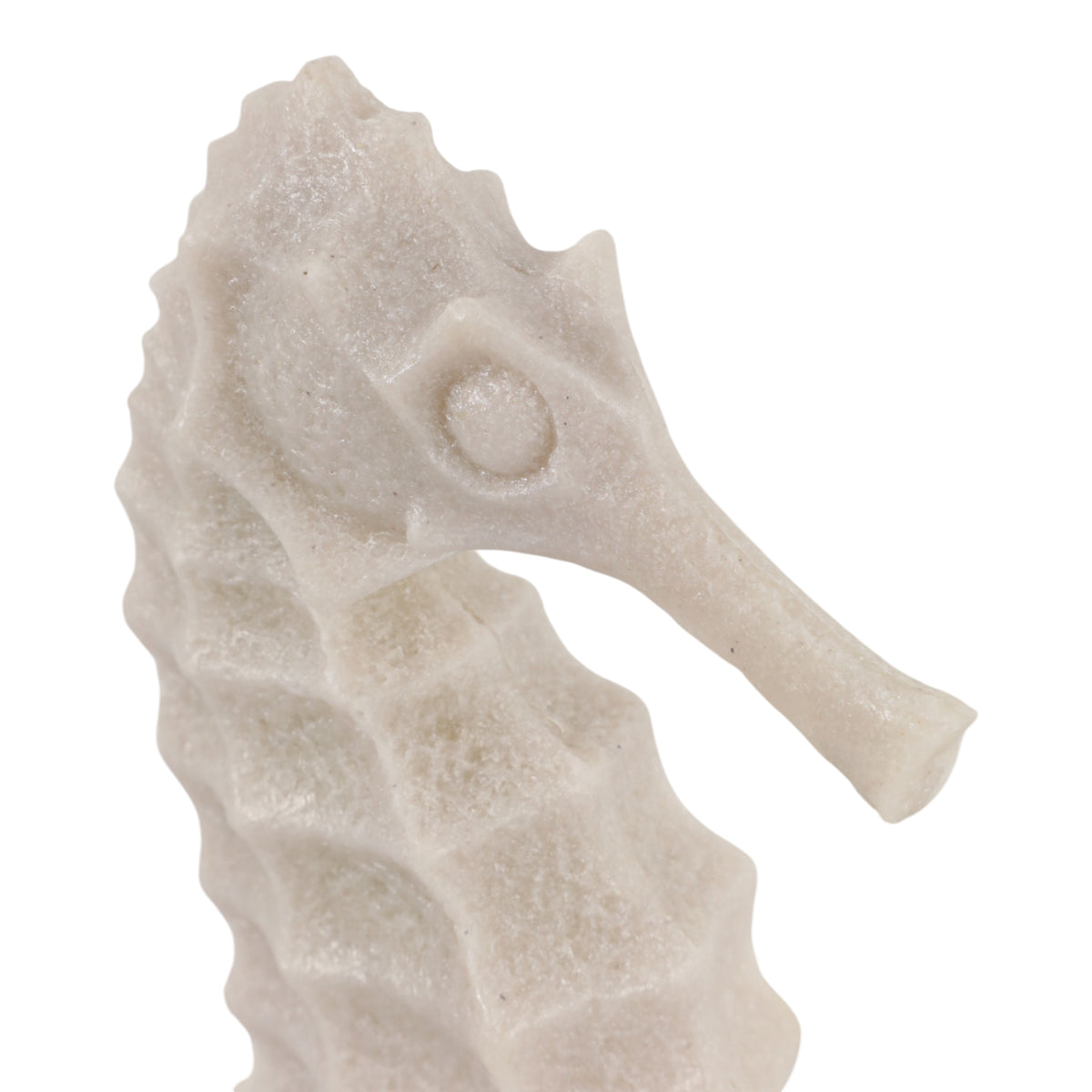 La Porte Tan Resin Sand Seahorse