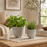 Rexdale Ivory Planters (Set of 2)