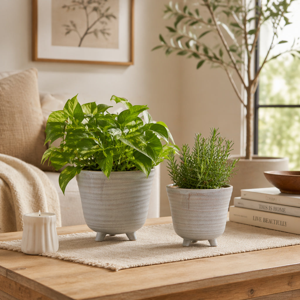 Rexdale Ivory Planters (Set of 2)