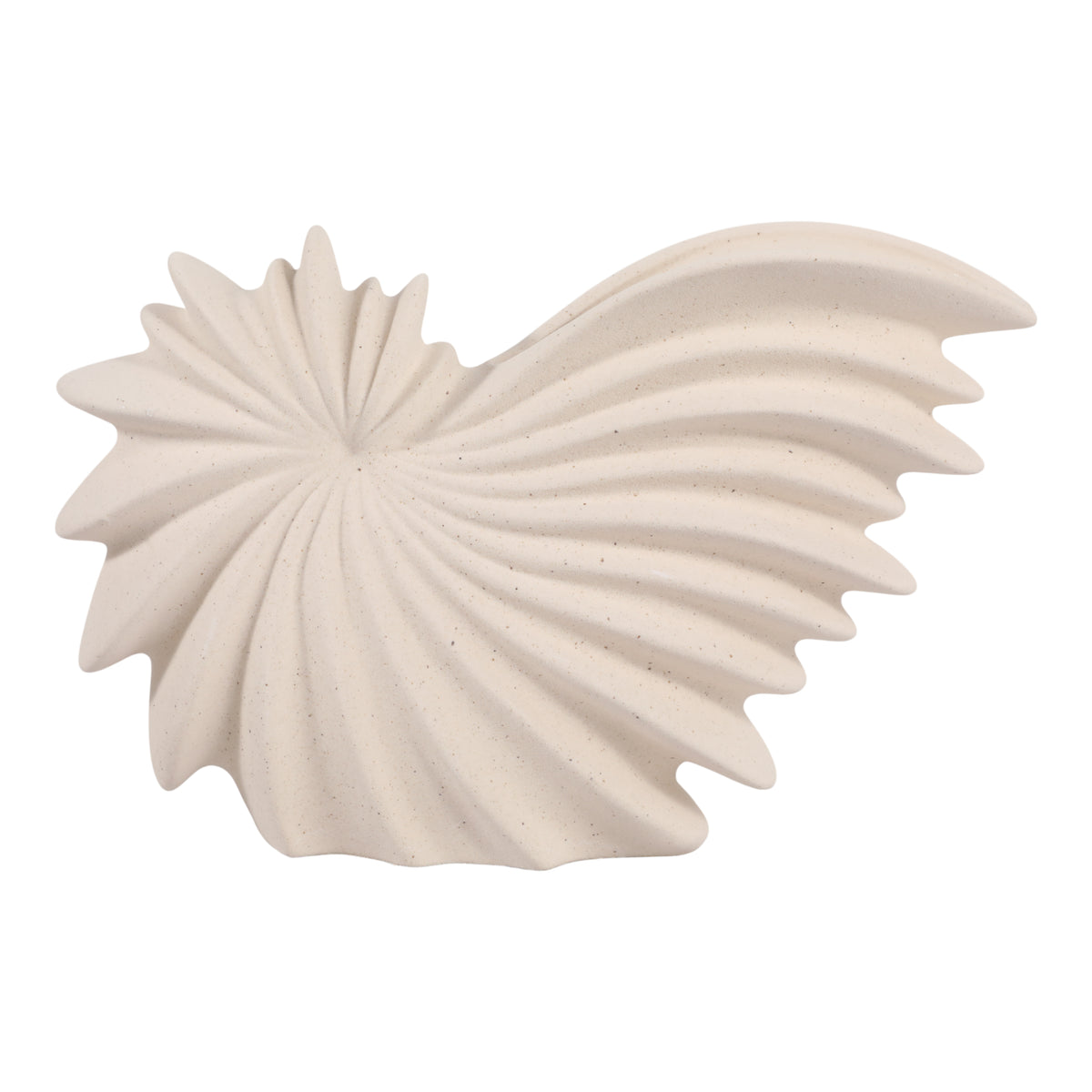 Amesti White Ribbed Shell