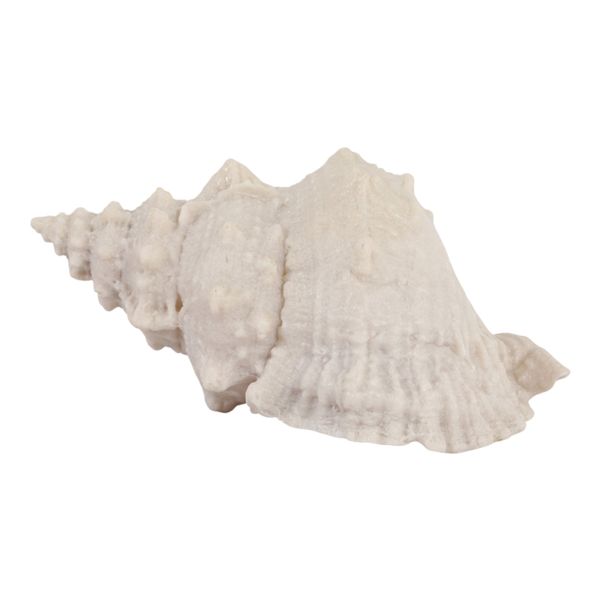 Grantville Tan Resin Sand Cong Shell