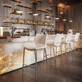 Ace White & Silver Barstool (Set of 2)