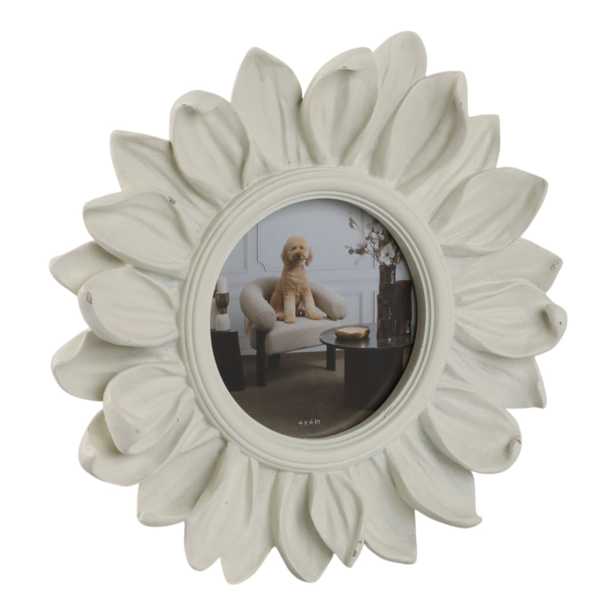 Tarabeach Ivory Frame