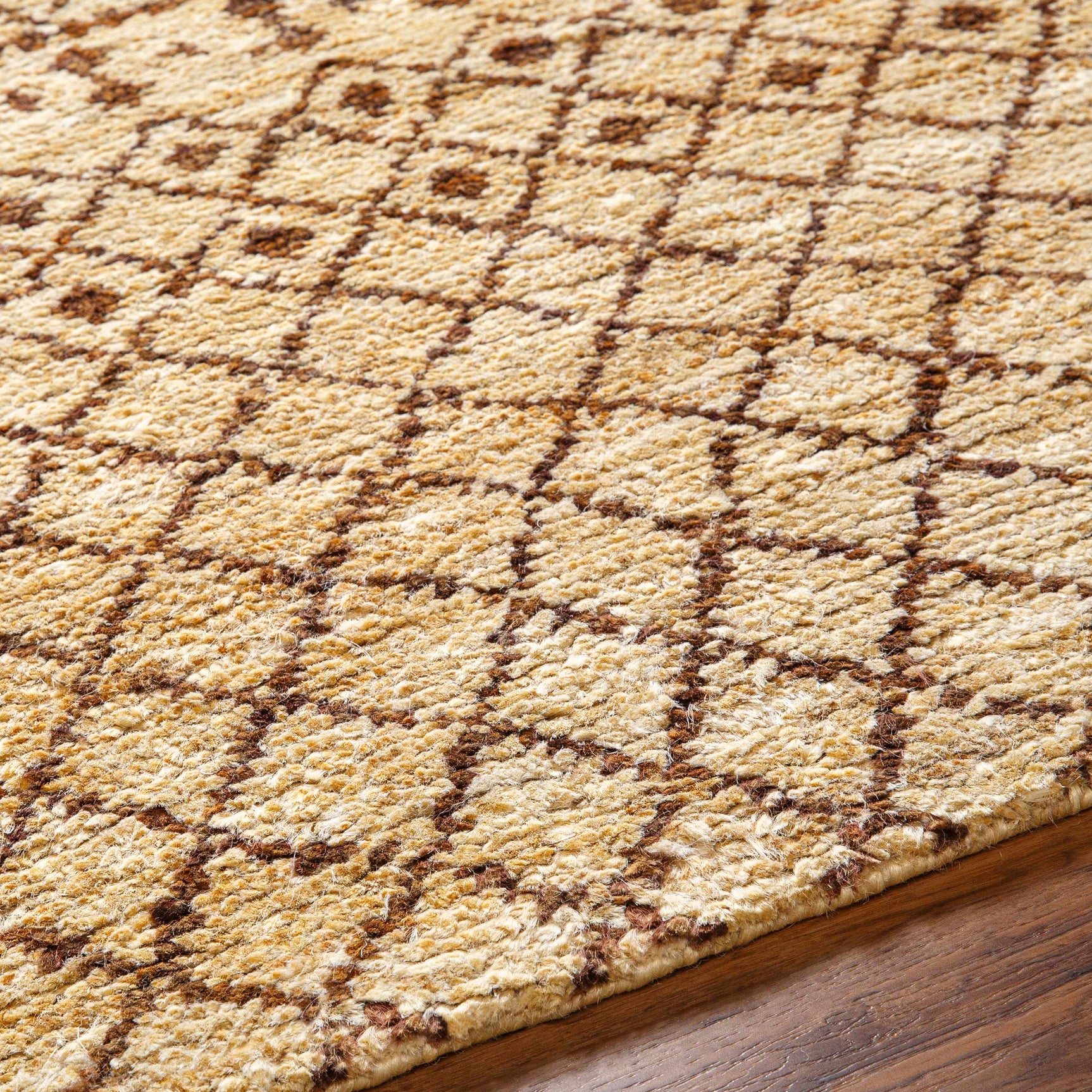 Ceron Area Rug - Clearance