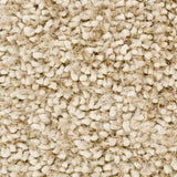 Chilhowie Area Rug - Clearance