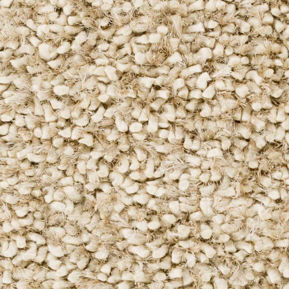 Chilhowie Area Rug - Clearance