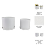 Reedburn White Planters (Set of 2)