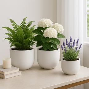 Kira White Planters (Set of 3)
