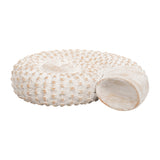 Essexrun White Shell Table Accent Decor