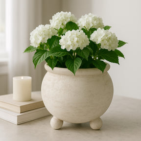 Wrightwood Ivory Textured Rounded Planter on Ball Feet