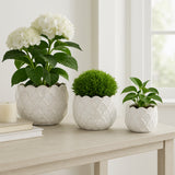 Hazenshaw White Planters (Set of 3)