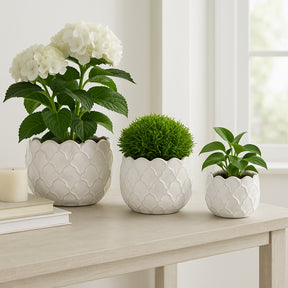 Hazenshaw White Planters (Set of 3)