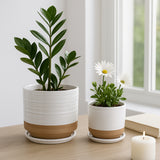 Fionaoak Ivory/White/Tan Planters (Set of 2)