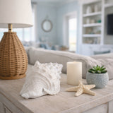 San Anselmo White Conch Shell