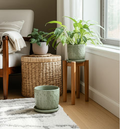 Leonaham Green Planters (Set of 2)