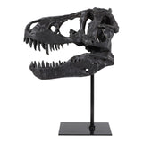 Glasershaw Black Decor