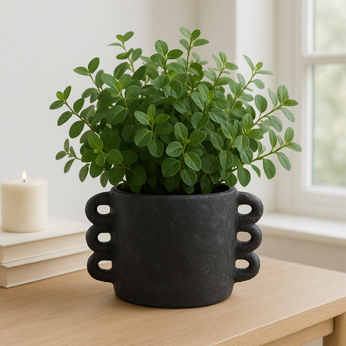 Arlowhaven Black Planter
