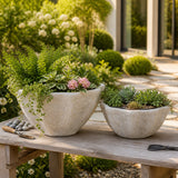 Tannervale White/Ivory Planters (Set of 2)