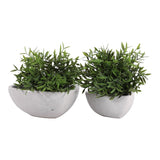 Devoncliff White Planters (Set of 2)