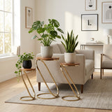 Bentonham Brown/Gold Plant Stands (Set of 3)