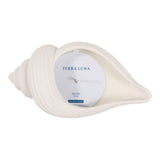 Orcutt White Sea Salt Shell Candle