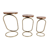 Bentonham Brown/Gold Plant Stands (Set of 3)