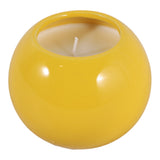 Dixonstone Yellow Coconut Goji Smiley Face Candle