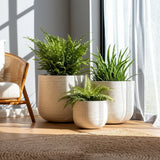 Toddcliff Ivory Resin Cement Texture Planters (Set of 3)