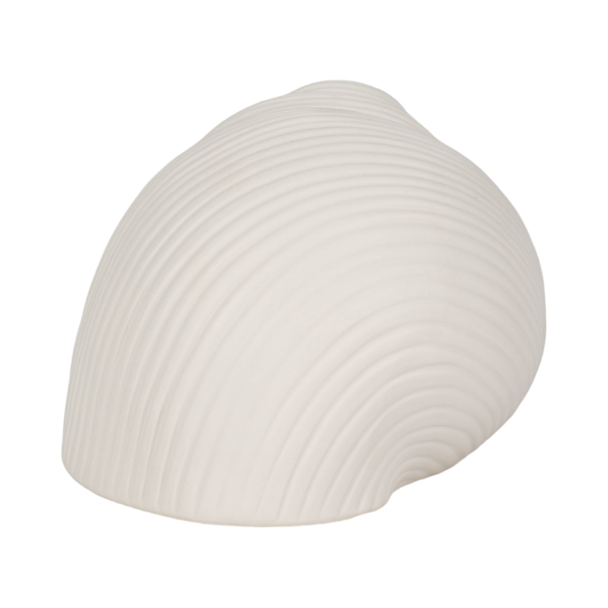 Cleoside White Bonnet Seashell Decor
