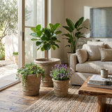 Ocotillo Tan Terracotta Planters (Set of 3)