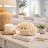 Brainard Ivory Petal Coral