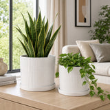Grahammill White Planters (Set of 2)