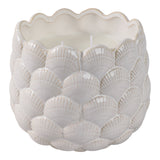 Camarillo Ivory Pink Beach Seashell Candle