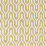 Drewryville Area Carpet - Clearance