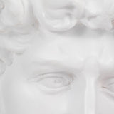 Clair White Resin Greek God Head
