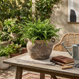 Harvard Brown/Ivory Textured Stoneware Jug Planter