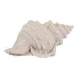 Grantville Tan Resin Sand Cong Shell