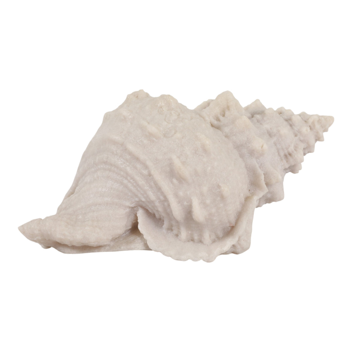 Grantville Tan Resin Sand Cong Shell