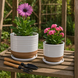 Fionaoak Ivory/White/Tan Planters (Set of 2)
