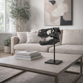 Glasershaw Black Decor