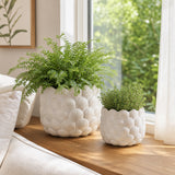 Harkencrest White Planters (Set of 2)