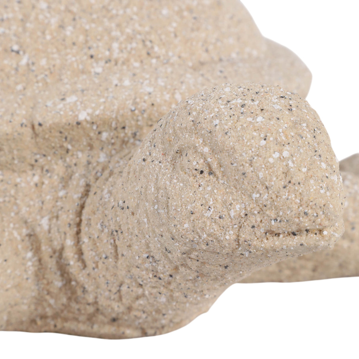 Ukiah Tan Sea Turtle Sand Texture Finish