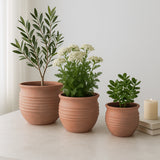 Paxton Natural/Red Terracotta Ribbed Pots (Set of 3)